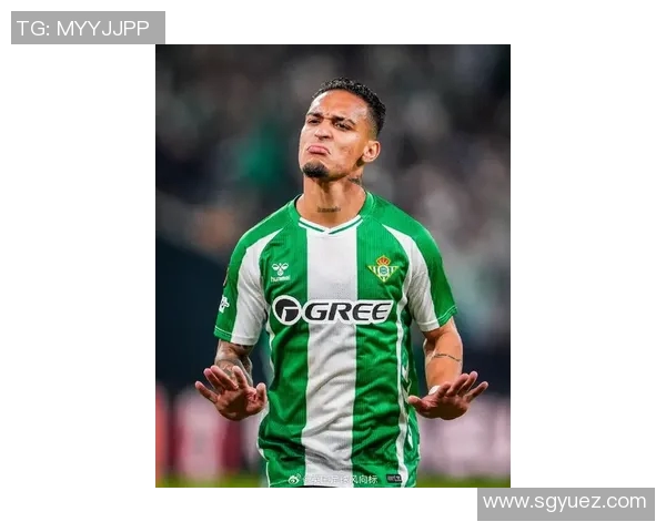 火箭主帅戴安东尼因伤退出赛季，球队未来何去何从？