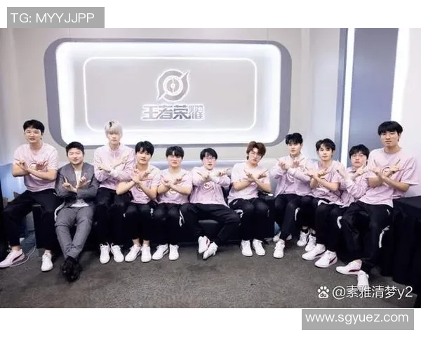 王者荣耀战术新解析JDG战队如何引领潮流成就巅峰对决