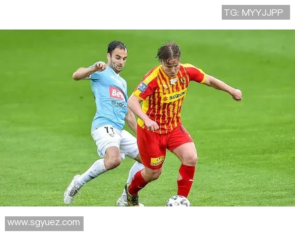 瑞典队大胜波兰，成功晋级16强：北欧雄狮的荣耀之战